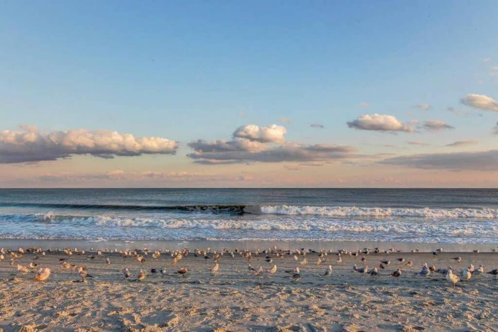 מירטל ביץ' *Renovated Oceanfront Condo*Queen Beds*Pools*Hot Tubs*More*P220 מראה חיצוני תמונה