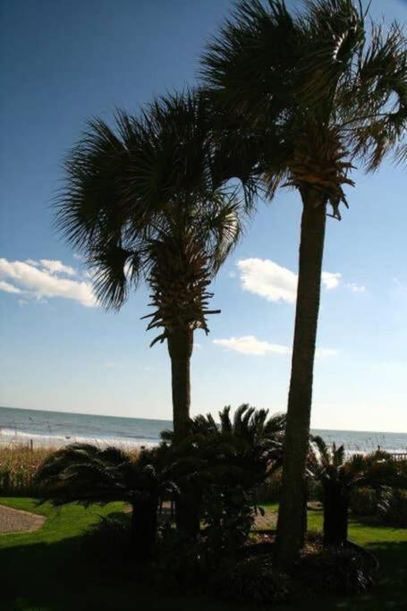 מירטל ביץ' *Renovated Oceanfront Condo*Queen Beds*Pools*Hot Tubs*More*P220 מראה חיצוני תמונה